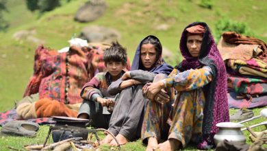 Photo of Gujjars demands new Educational scheme to eradicate illiteracy among  Tribal groups