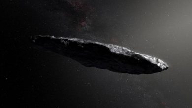 Photo of NASA says an asteroid will pass by Earth on November 2 – just a day before US election