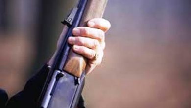 Photo of Lady Constavble martyred, Dy Commandant CRPF injured in Batamaloo encounter