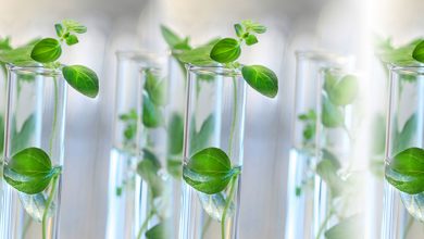 Photo of Department of Chemistry, GCET, Jammu organizes one day national webinar on ‘Chemistry Towards a Sustainable Future’