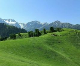 Photo of Gilgit Baltistan is turning into Chinese colony, reveals ‘Taya Ki Baithak’