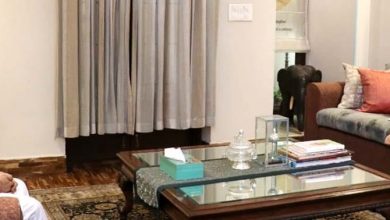Photo of Lt Governor meets Union Education Minister