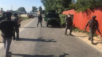 Photo of JeM terrorist killed in Kulgam encounter identified as Pakistani national