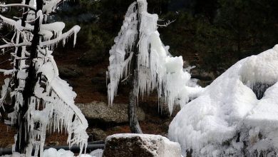 Photo of Cloudy weather likely in Valley