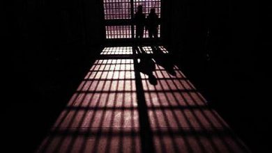 Photo of Three TRF associates arrested in central Kashmir’s Ganderbal: Police