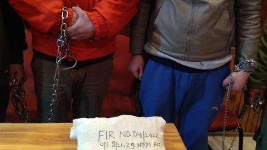 Photo of Police arrests 02 notorious drug peddlers in Ganderbal; Psychotropic substance recovered