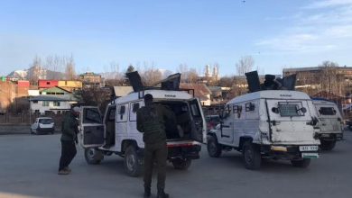Photo of Srinagar resident among three held over Shopian grenade attack: police