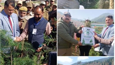 Photo of International Forest Day Was Celebrated in Anantnag Forest Division