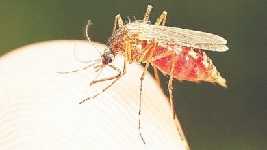 Photo of J&K soon will be malaria free, no +ve case reported so far this year