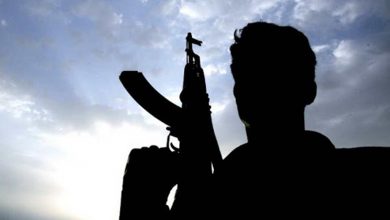 Photo of Rapid growth in locals joining terror ranks in J&K: Officials