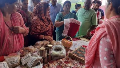 Photo of Give first preference to Vocal for Local: Priya Sethi