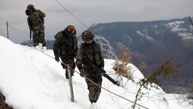 Photo of Army’s best friend on LoC: Gaddi’ dogs!