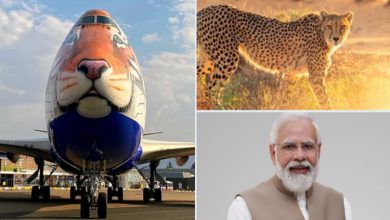 Photo of PM Modi to release wild Cheetahs in Kuno National Park in Madhya Pradesh tomorrow under Project Cheetah