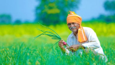 Photo of UP govt to provide an unique farm ID similar to Aadhar number to farmers