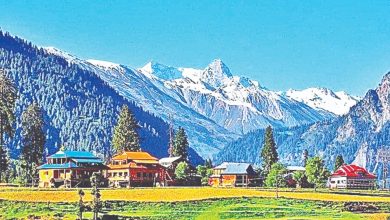 Photo of 1.62 crore tourists visited J&K so far, highest since independence
