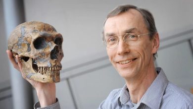 Photo of Svante Pääbo wins 2022 Nobel Prize in Medicine for discovery around genomes of extinct hominins