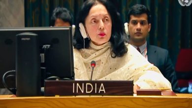Photo of Terrorist outfits posing threats to Africa’s security deserve UN Security Council’s attention, says India