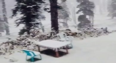Photo of J&K: Mughal Road closed for vehicular traffic due to heavy snowfall