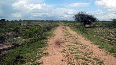 Photo of Flaws in surveys of key areas prompt Government to order afresh