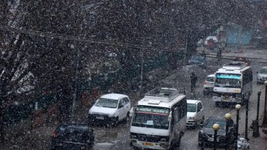 Photo of Fresh snowfall in Kashmir, flights at Srinagar airport affected