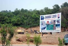 Photo of Jambu Zoo’s 1st phase likely to be thrown open in April