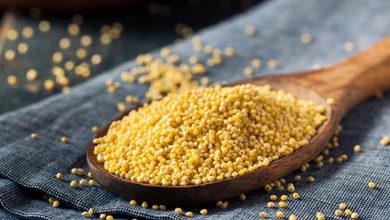 Photo of Govt clears project to prop up Nutri cereals