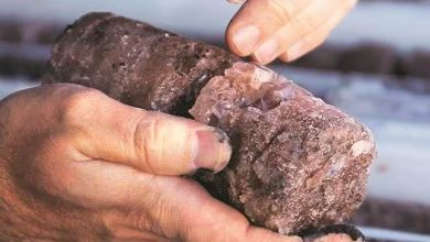Photo of Lithium vital to EV push but mining poses environment risk, says experts