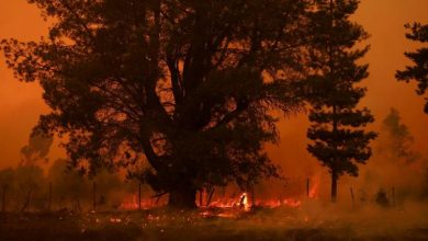 Photo of Chile extends state of emergency as devastating forest fires kill 23 people