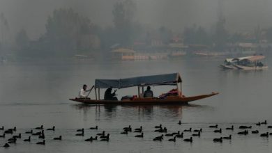 Photo of Day weather fair as night temperatures drop in J&K