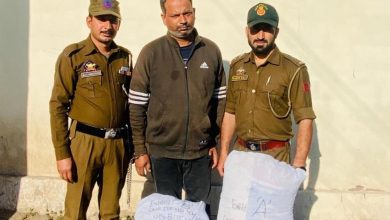 Photo of Kathua Police seizes 17 kgs of poppy straw, arrests one