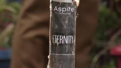 Photo of Narwal Twin Blasts | Government Employee From Reasi Arrested, Drone-Dropped Perfume IED Recovered: J&K Top Cop