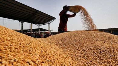 Photo of FCI sells over nine lakh tonnes of wheat in two days of e-auction
