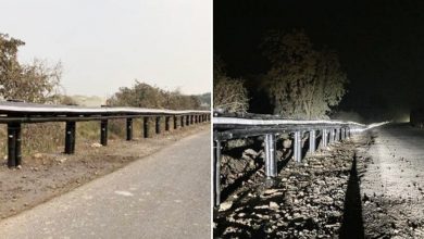 Photo of World’s first 200-meter-long Bamboo Crash Barrier installed on Vani-Warora Highway in Vidarbha