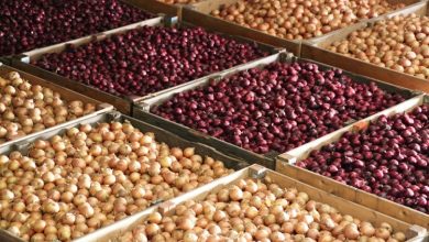 Photo of Gujarat govt announces Rs.330-crore package for transport, storage of potatoes and onions