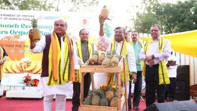 Photo of Union Agriculture Minister Narendra Singh Tomar launched Queen Pineapple produced in Tripura
