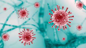 Photo of 1,223 new cases of COVID- 19 registered in country in last 24 hours