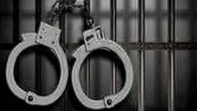 Photo of Two LeT militant associates apprehended along with arms and ammunition in Anantnag: Police