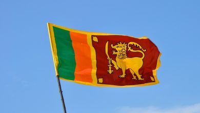Photo of Sri Lanka’s Cabinet of Ministers gives its approval for Sri Lanka’s domestic debt restructuring program