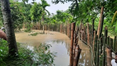 Photo of Flood situation grim as more than 4,95,000 people still reeling under deluge across 22 districts