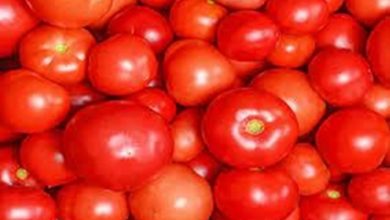 Photo of Centre announces Tomato Grand Challenge hackathon to generate innovative ideas for availability and fair pricing of tomatoes