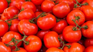 Photo of Centre slashes price of Tomato sold by NCCF, NAFED from today