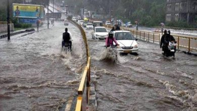Photo of Rains continue to create havoc in many parts in Madhya Pradesh