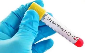 Photo of All educational institutions closed till tomorrow in Kozhikode to contain Nipah virus infections