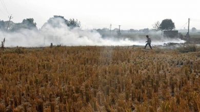 Photo of Centre asks Punjab Govt to take effective actions to stop further stubble burning in remaining days of this harvest season