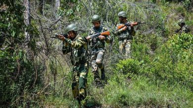 Photo of Army and BSF intensify surveillance along LoC and International Border ahead of Republic Day celebrations