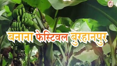 Photo of Burhanpur, banana city in central India all set to organise its annual Banana Festival