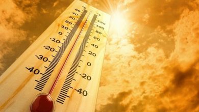 Photo of Bengaluru Records Second Hottest Day In 50 Years