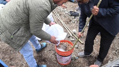 Photo of Kargil Forest Division organizes insect management drive in Skambu village