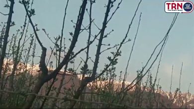 Photo of Nature is the closest place to heaven on earth watch this with Rajni Bahar