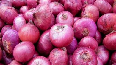 Photo of Centre Lifts Ban On Onion Exports